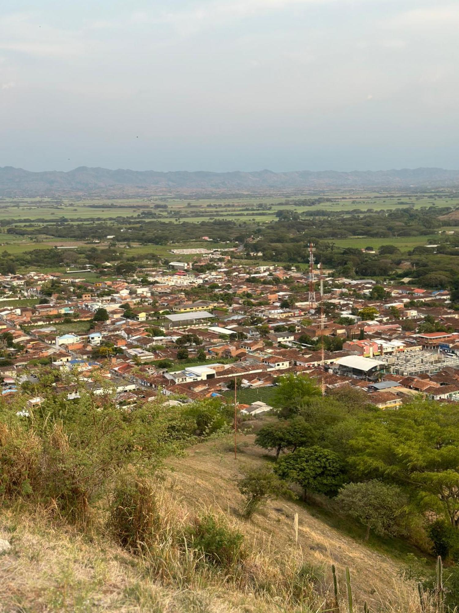 Mira Cruz Toro