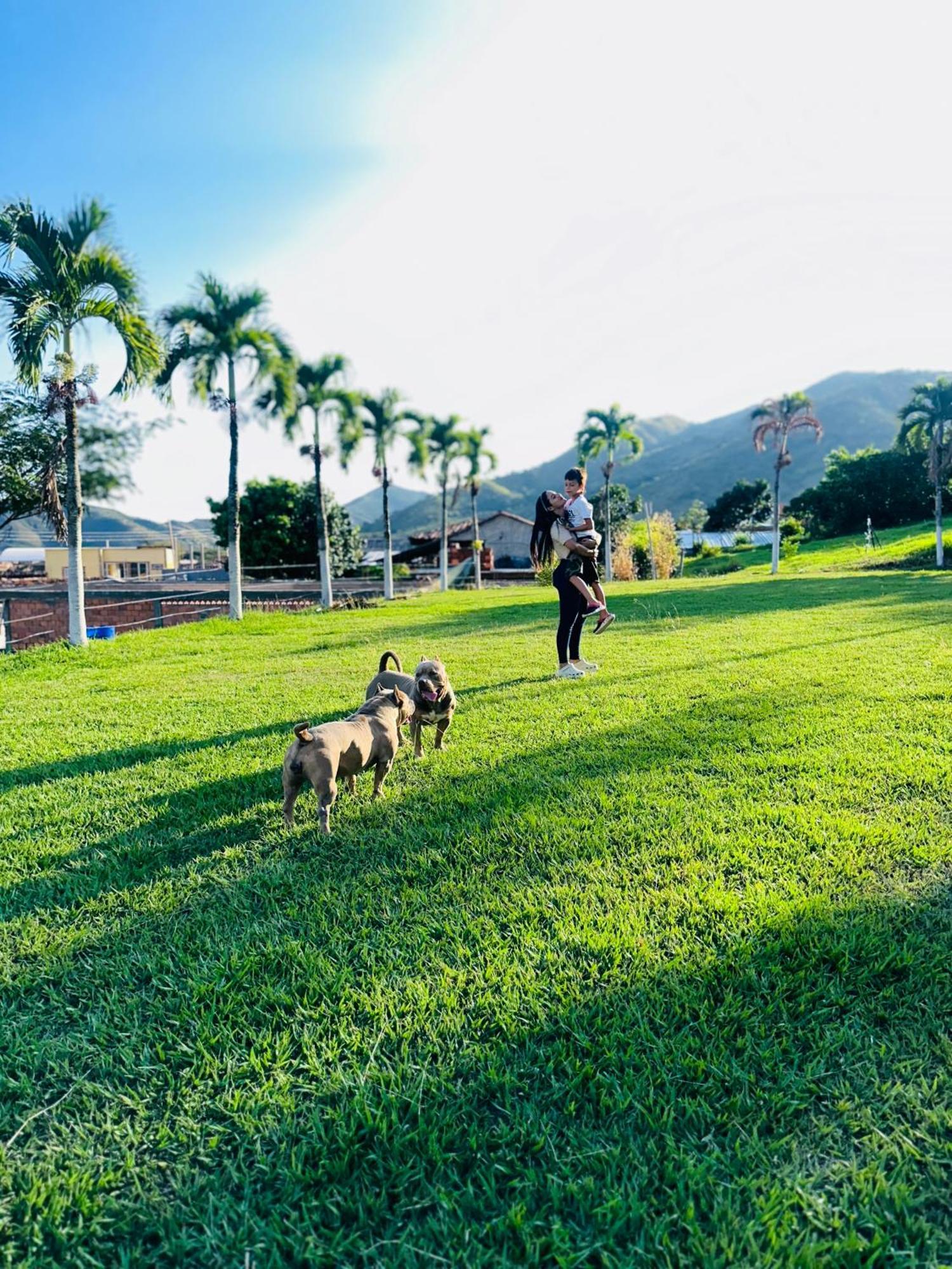 Mira Cruz Farm stay